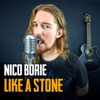 Like a Stone (feat. Shaun Track) - Single