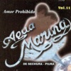 Vol. 11: Amor Prohibido, 1997