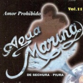 Amor Prohibido artwork