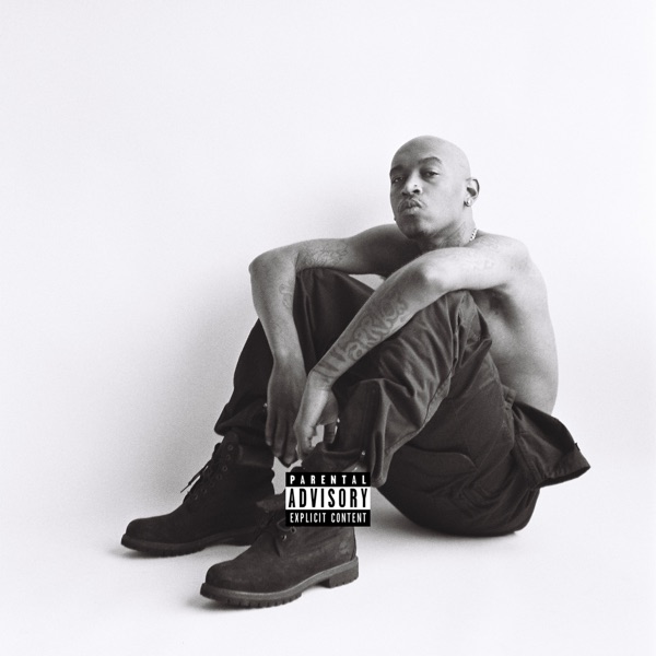 iTunes Artwork for 'Missing ElemEent (by Eearz)'