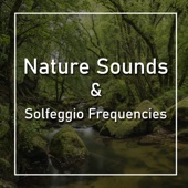 Nature Sounds and Solfeggio Frequencies artwork