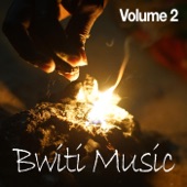 Bwiti Music, Vol. 2 artwork
