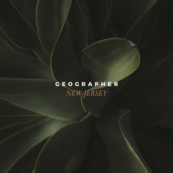 Cover artwork for Leaving the Garden State