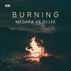 Burning - Single