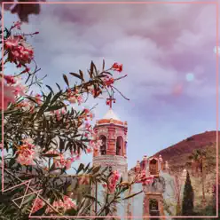 Señorita - Single - Madilyn Bailey Señorita - Single - Madilyn Bailey