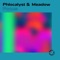 Focus - Phlocalyst & M e a d o w lyrics