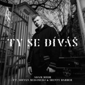 Ty Se Díváš (feat. Sofian Medjmedj & Skinny Barber) artwork