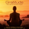 Gratitude (Music for Meditation to Acknowledge and Celebrate the Gratitude in Our Daily Lives), 2019