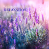 Relaxation Volume 1 - Tim Janis