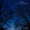 Under the Moonlight - Single