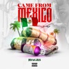 Came from Mexico - Single