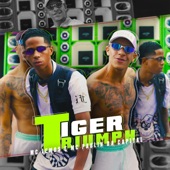 Tiger Triumph artwork
