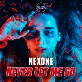 Never Let Me Go (Extended Mix) artwork