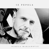 Iz pepela artwork