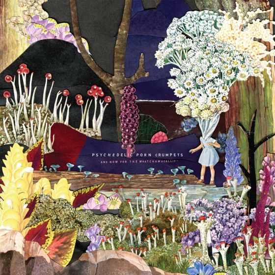 Cover artwork for Social Candy
