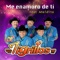 Me Enamoro de Tí (feat. Anaidita) - Los Tigrillos lyrics