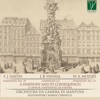 Haydn, Vanhal, Mozart: A Symphony And Its Consequences (G Minor Symphonies In Vienna)