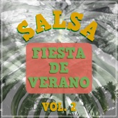 Salsa - Fiesta de Verano, Vol. 2 artwork