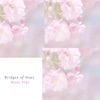 Bridges of Hope - Single