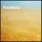 Kalakuta (feat. Timusbadmus) - Kuvar Olu Daniels lyrics