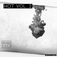 Various Artists - Hot, Vol. 2 artwork