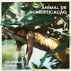 Catarina Munhá - Águas-Furtadas