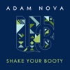 Shake Your Booty - Single