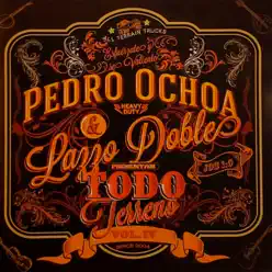 Todo Terreno (Volumen IV) - Pedro Ochoa