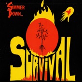 Survival artwork