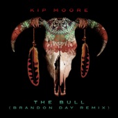 The Bull (Brandon Day Remix) artwork