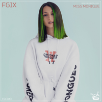 Various Artists - Fgix (Dj Mix) artwork