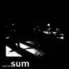 Sum - Single album lyrics, reviews, download