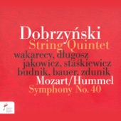 Wolfgang Amadeus Mozart & Johann Nepomuk Hummel: Symphony No.40 in G Minor: III. Menuetto. Allegretto - Trio artwork