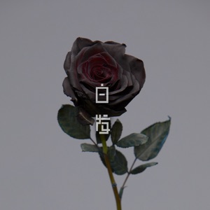 白发 - Single