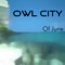 Designer Skyline - Owl City lyrics