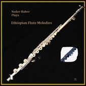 Plays Ethiopian Flute Melodies artwork