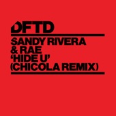 Hide U (Chicola Extended Remix) artwork