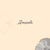 Amapola (feat. Tayko, Frank Lucas & Veztalone) artwork