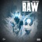 Raw (feat. Jay Hawk Trippin') - Ariana Laqueen lyrics