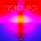 Broken Boy (feat. Iggy Pop) artwork