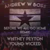 Before We All Go Home (Remix) [feat. Whitney Peyton & Young Wicked] - Single album lyrics, reviews, download