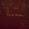 Wake up, O Sleeper - Single album lyrics, reviews, download