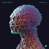Pangolin (Satoshi Fumi Remix) artwork