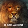 El Rey De los Felinos - Single
