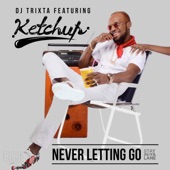 Never Letting Go (feat. Ketchup) artwork