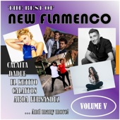 The Best of New Flamenco, Vol. V artwork