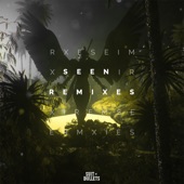 Seen (Paul Flint Remix) [feat. Paul Flint & Veronica Bravo] artwork