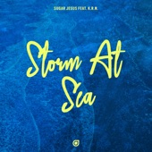 Storm At Sea artwork