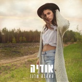 האהבה שלנו artwork