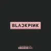 BLACKPINK 2018 TOUR 'IN YOUR AREA' SEOUL (Live) album lyrics, reviews, download